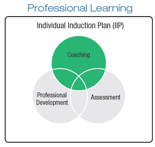 Individual Induction Plan circle diagram connecting coaching, assessment and professional development.