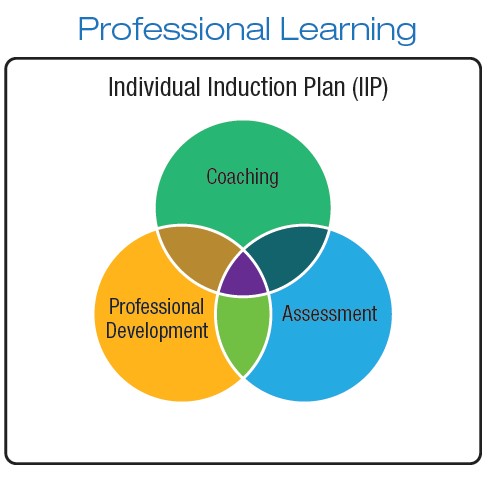 Circle diagram for Individual Induction Plan, for Coaching, Assessment, and Professional 