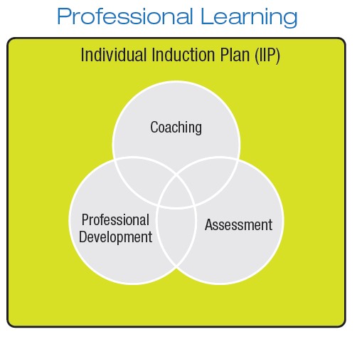 Individual Induction Plan circle diagram connecting coaching, assessment and professional development.