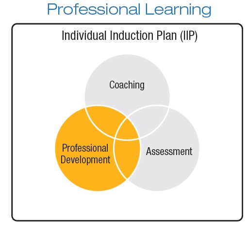 Professional Learning, Individual Induction Plan (IIIP)