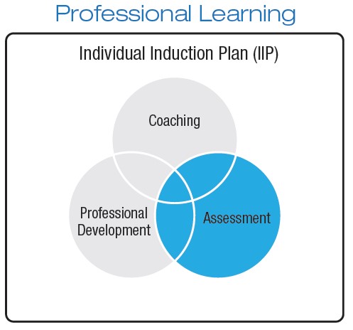Circle diagram for Individual Induction Plan, Coaching, Assessment, and Professional Development